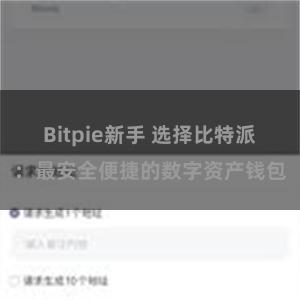 Bitpie新手 选择比特派：最安全便捷的数字资产钱包