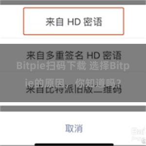 Bitpie扫码下载 选择Bitpie的原因，你知道吗？