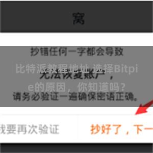 比特派教程地址 选择Bitpie的原因，你知道吗？