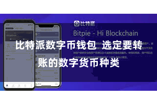 比特派数字币钱包  选定要转账的数字货币种类