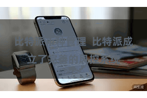 比特派币种管理  比特派成立了完善的风控系统