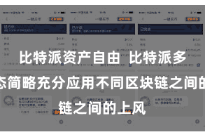 比特派资产自由  比特派多链生态简略充分应用不同区块链之间的上风