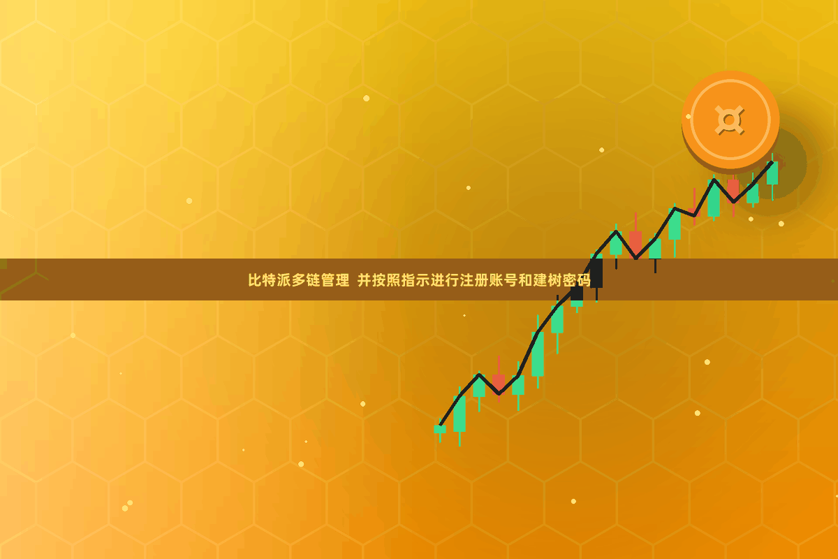   比特派多链管理  并按照指示进行注册账号和建树密码